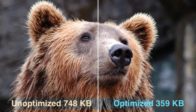 Optimized vs. Unoptimized Image